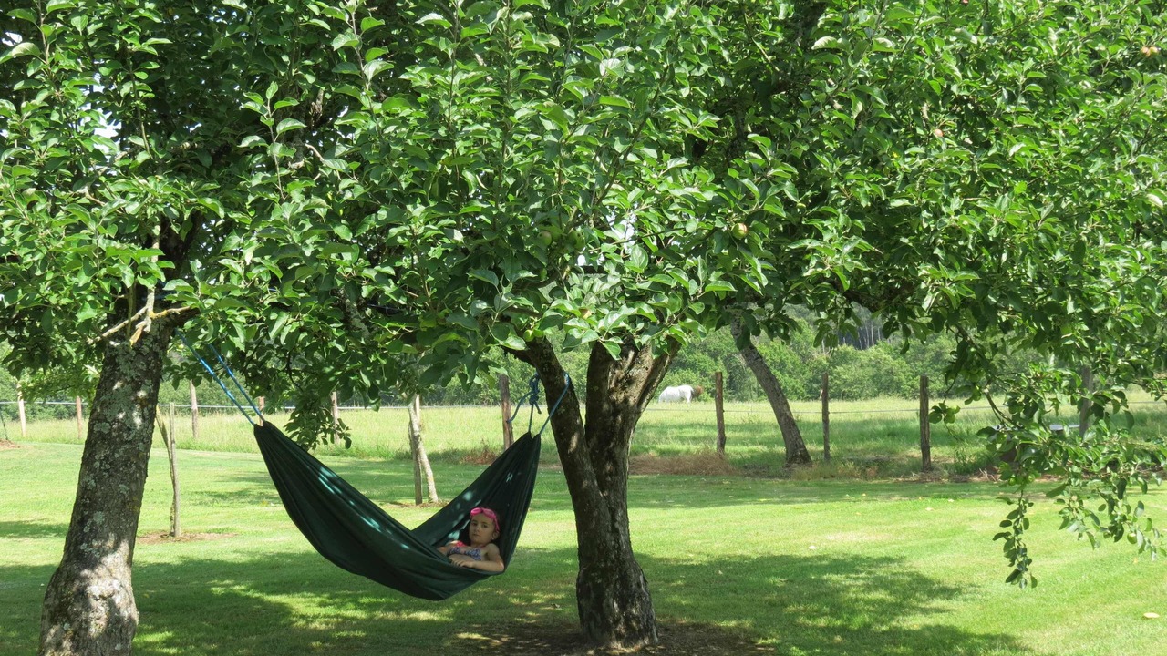 Photo of Outdoor in Saint-Gery