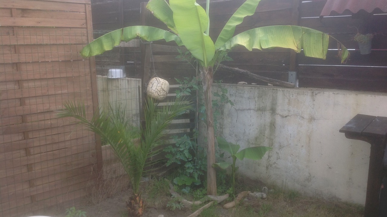 Photo of Outdoor in Boucau