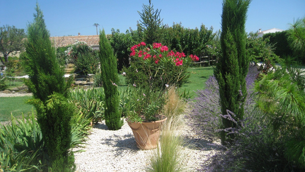 Photo of Outdoor in Courthezon