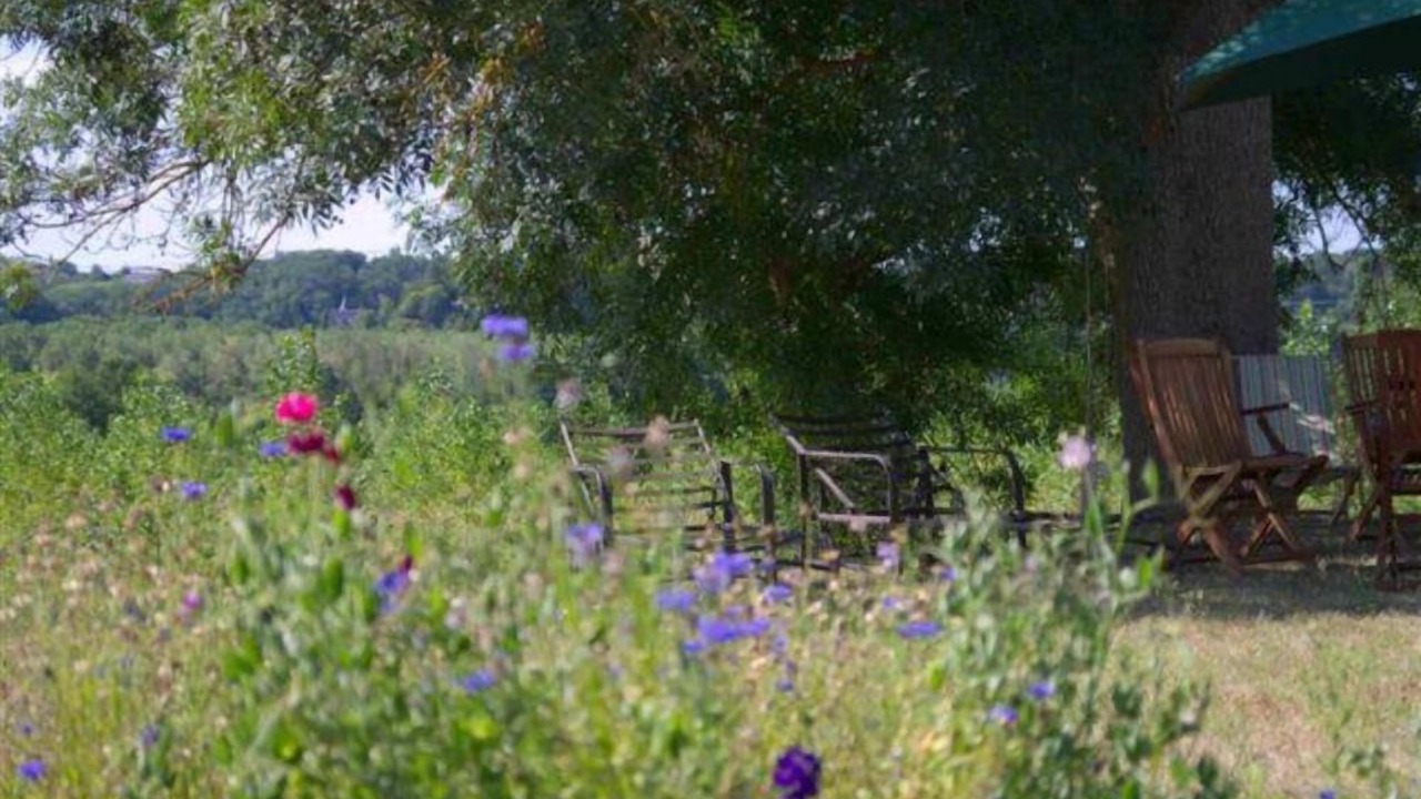 Photo of Outdoor in Saint-Chamassy