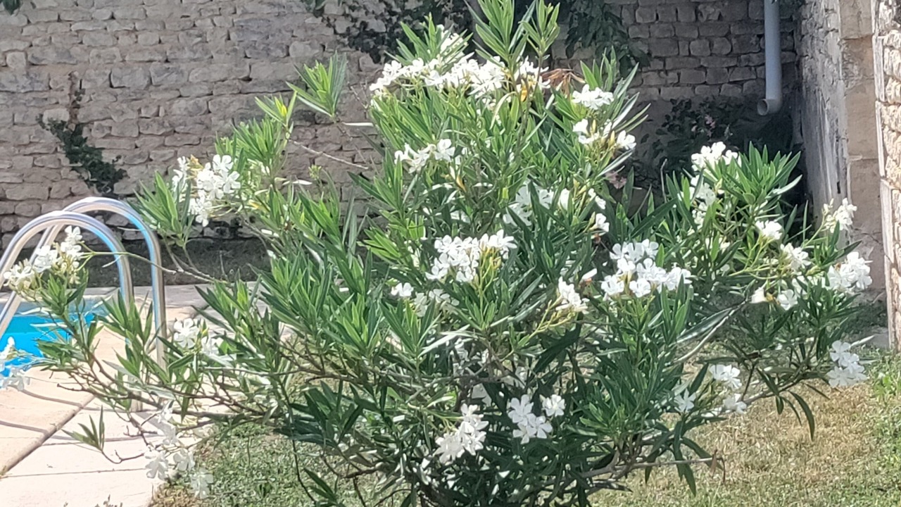 Photo of Outdoor in Barbezieres