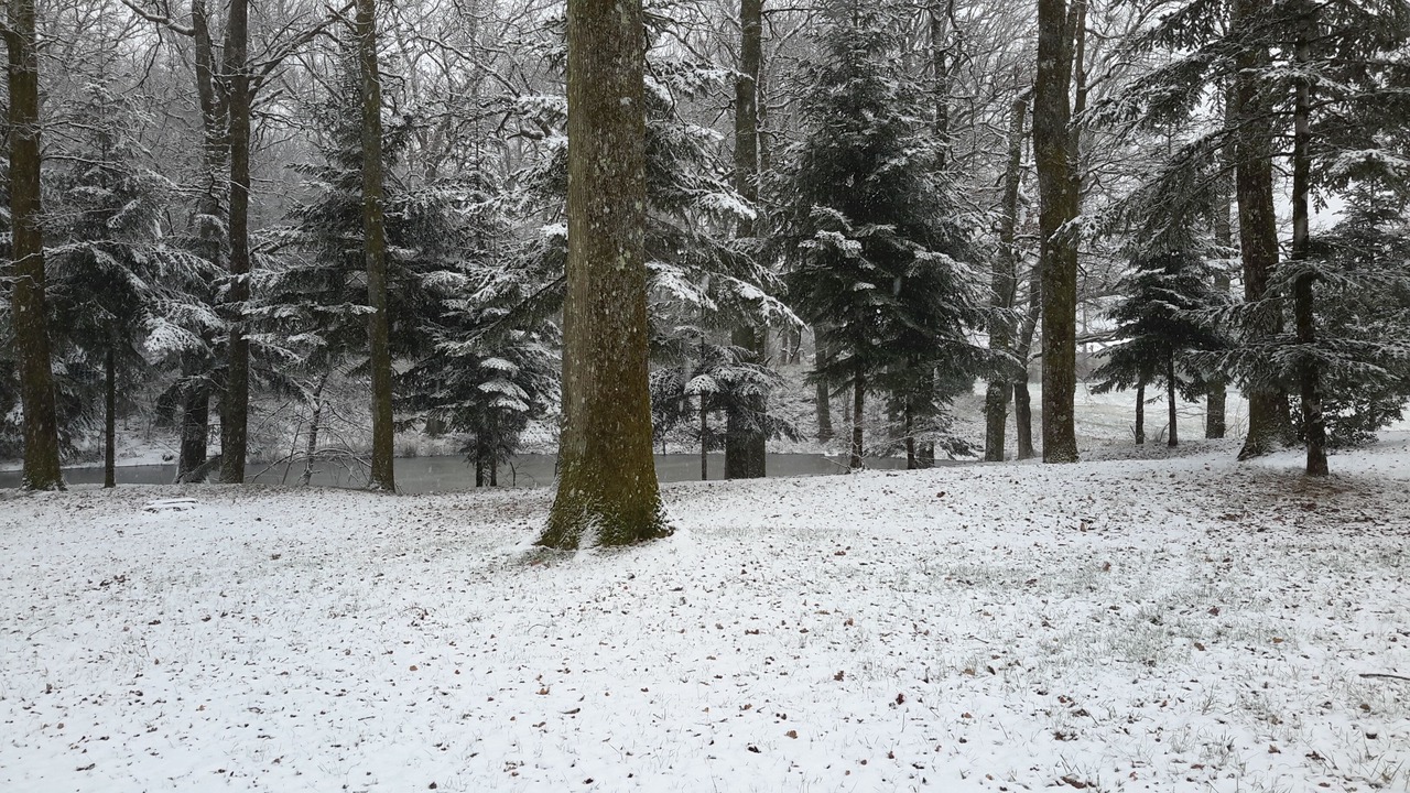Photo of Outdoor in Nontron