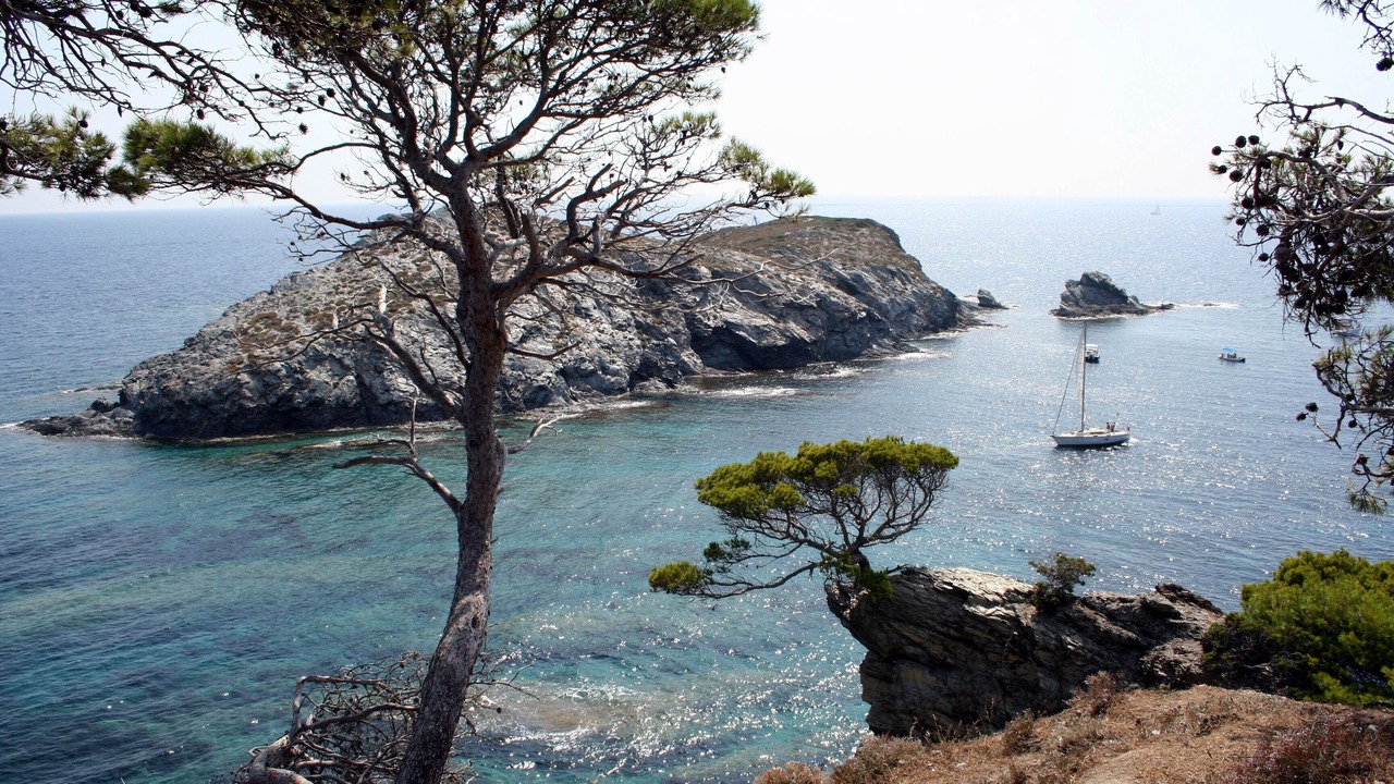 Photo of Others in Giens