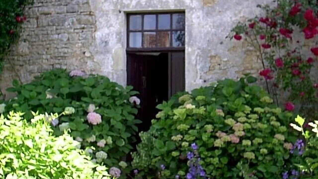 Photo of Outdoor in Champagne-le-Sec