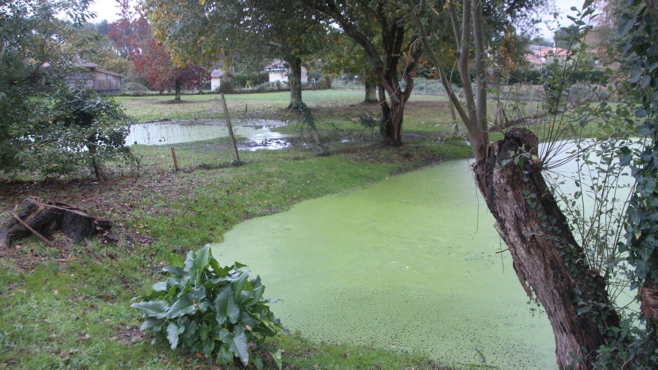 Photo of Outdoor in Levignacq