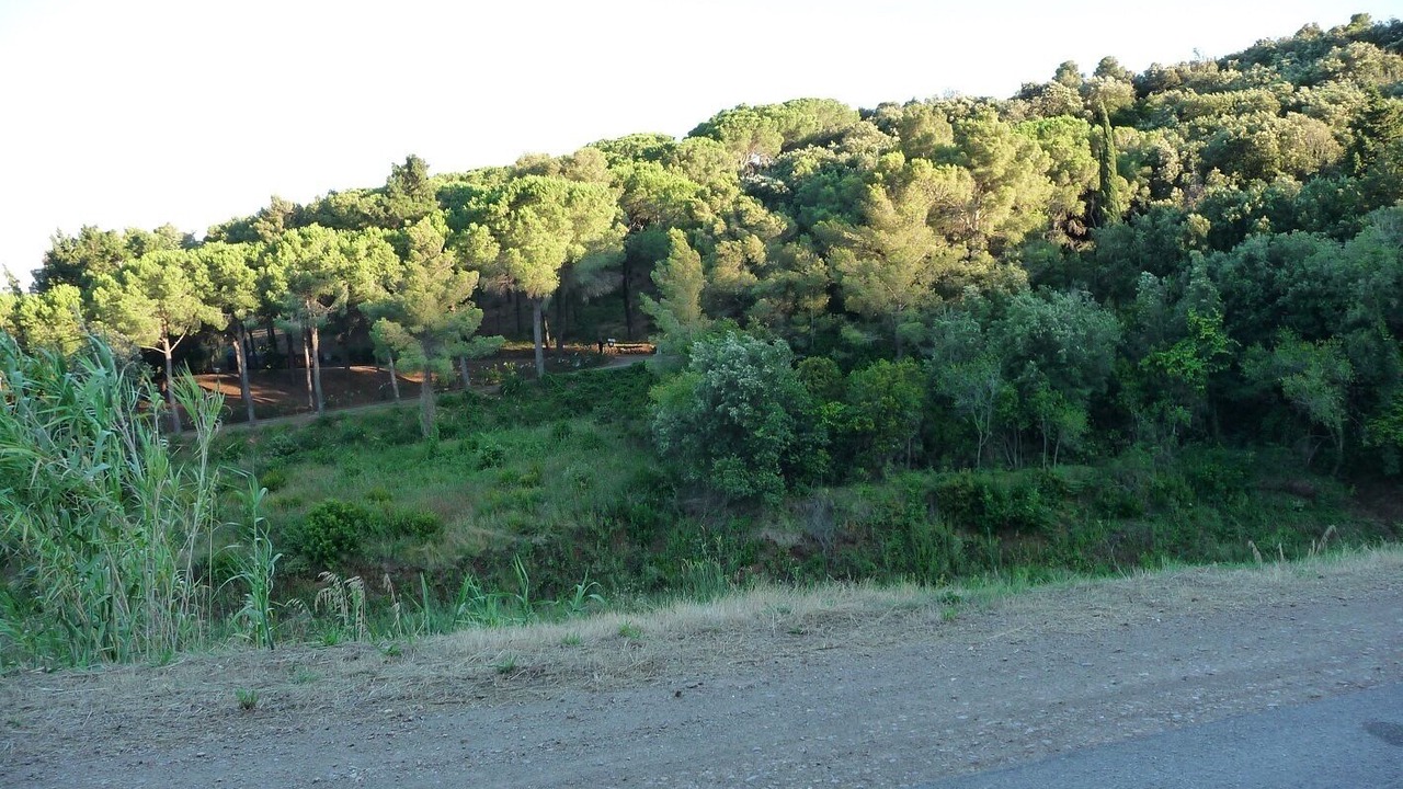 Photo of Others in Capo D'arco