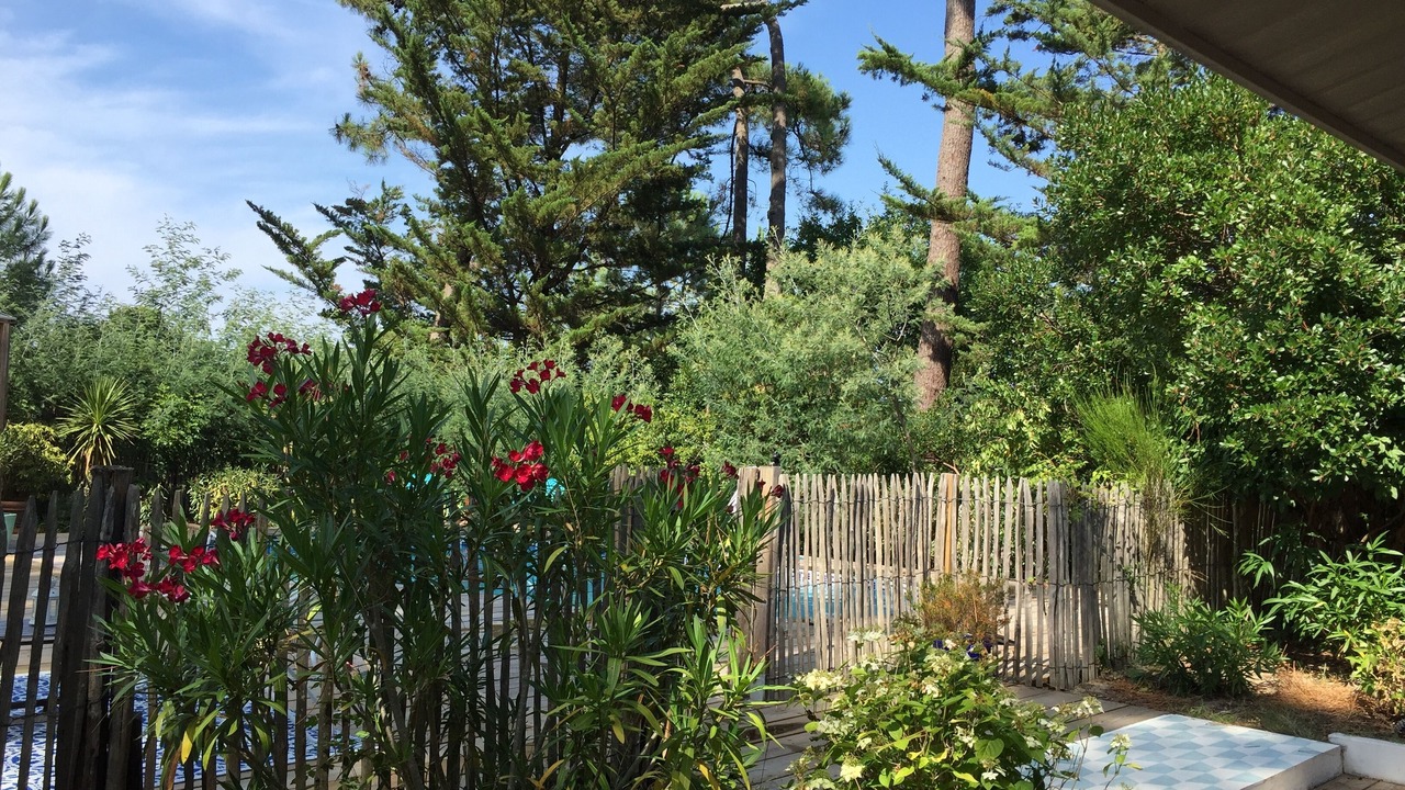 Photo of Outdoor in Lege-Cap-Ferret