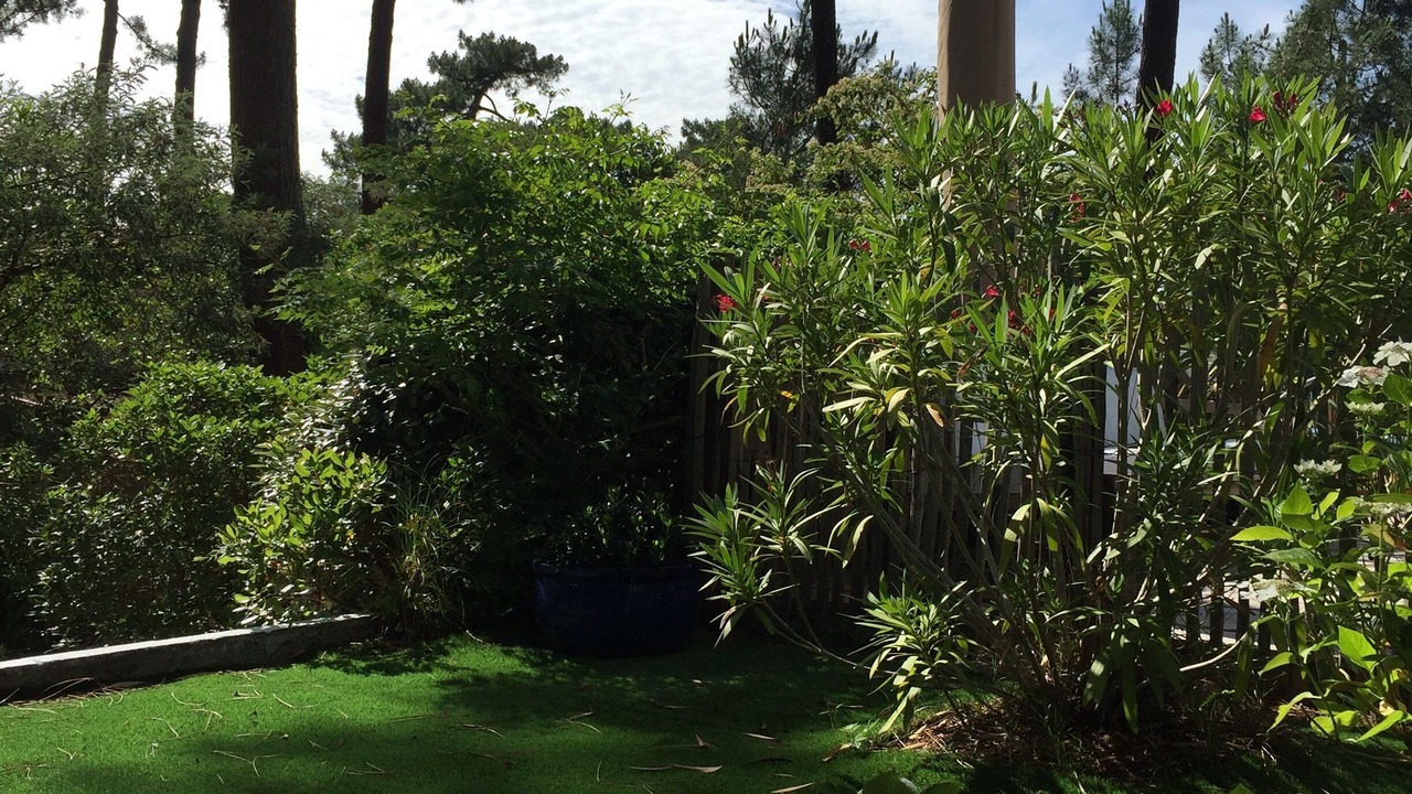 Photo of Outdoor in Lege-Cap-Ferret