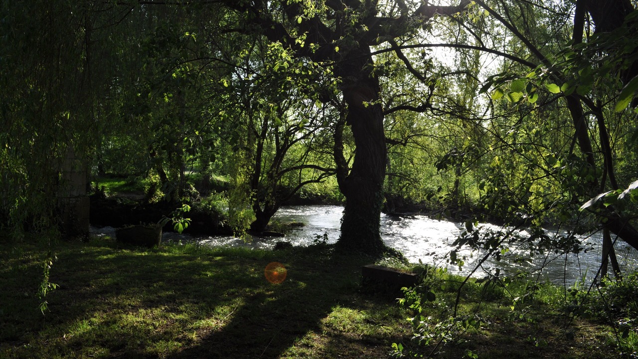 Photo of Outdoor in Fleac-sur-Seugne