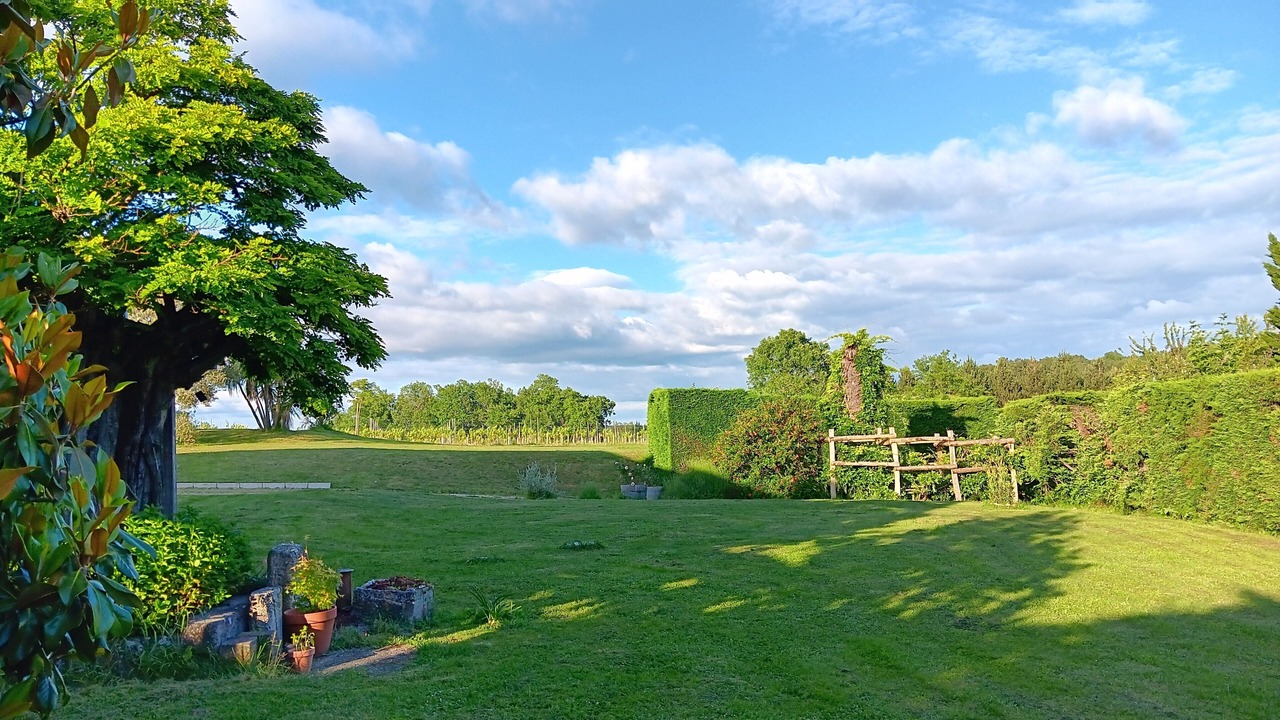 Photo of Outdoor in Massugas