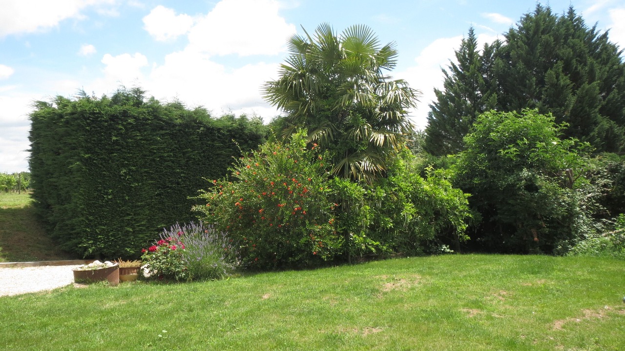 Photo of Outdoor in Massugas