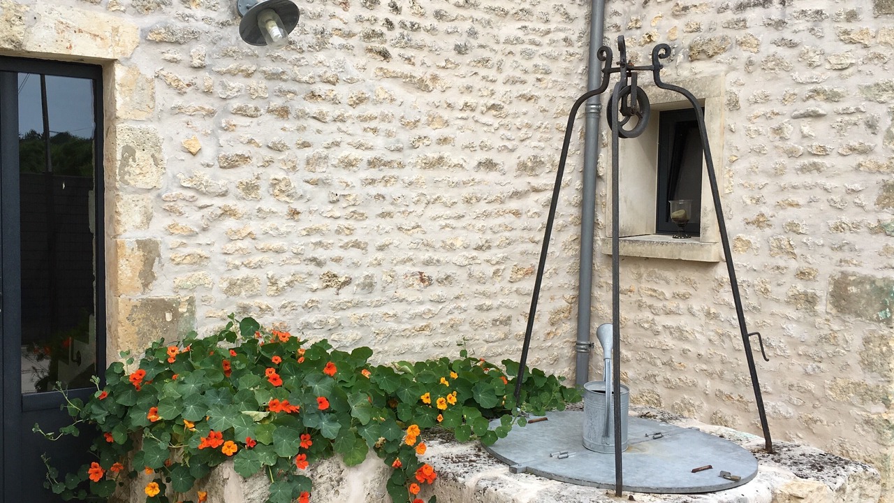 Photo of Outdoor in La Remigeasse