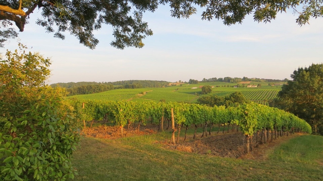 Photo of Outdoor in Flaugeac
