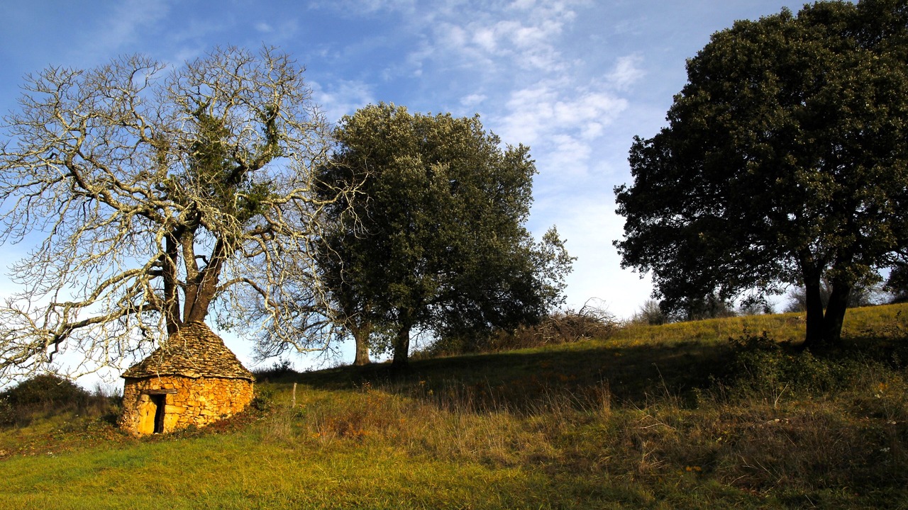 Photo of Outdoor in Beynac-et-Cazenac