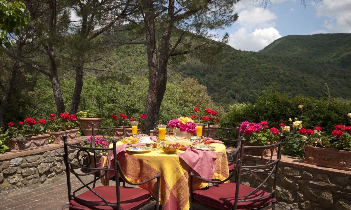 Photo of Others in Greve in Chianti