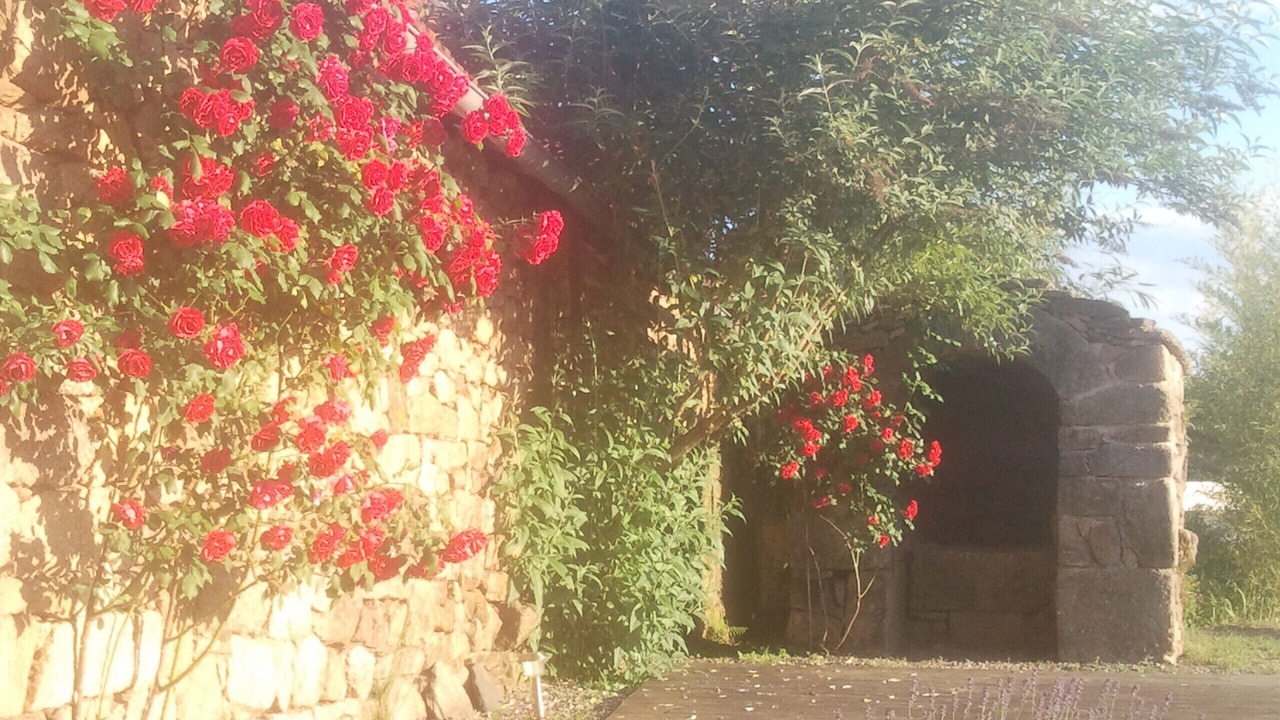 Photo of Outdoor in Correze
