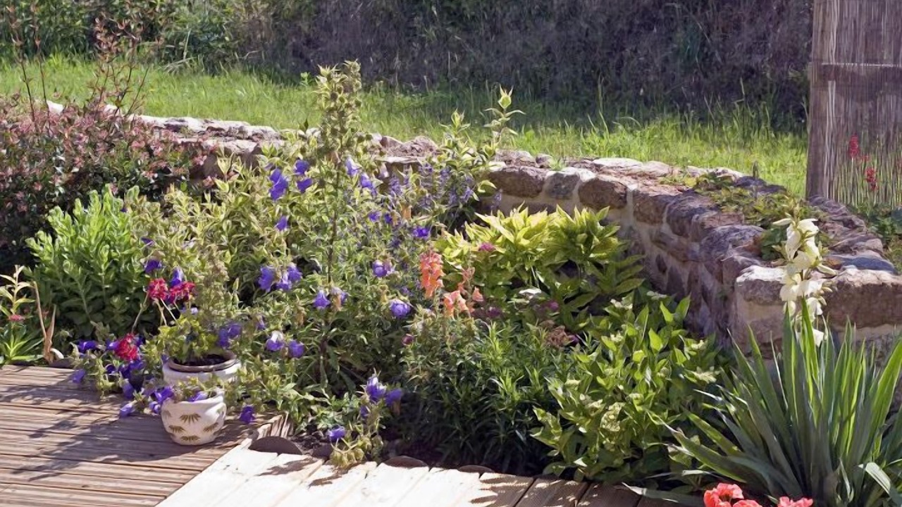 Photo of Outdoor in Correze