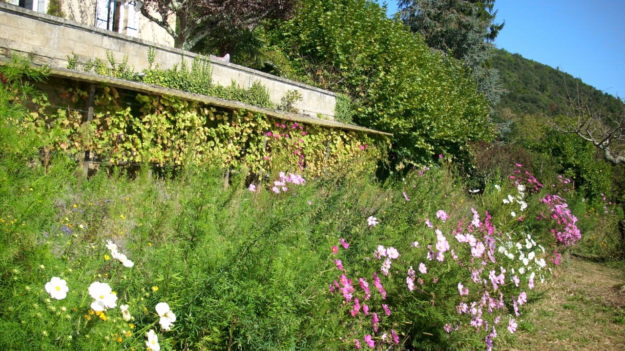 Photo of Outdoor in Calviac-en-Perigord