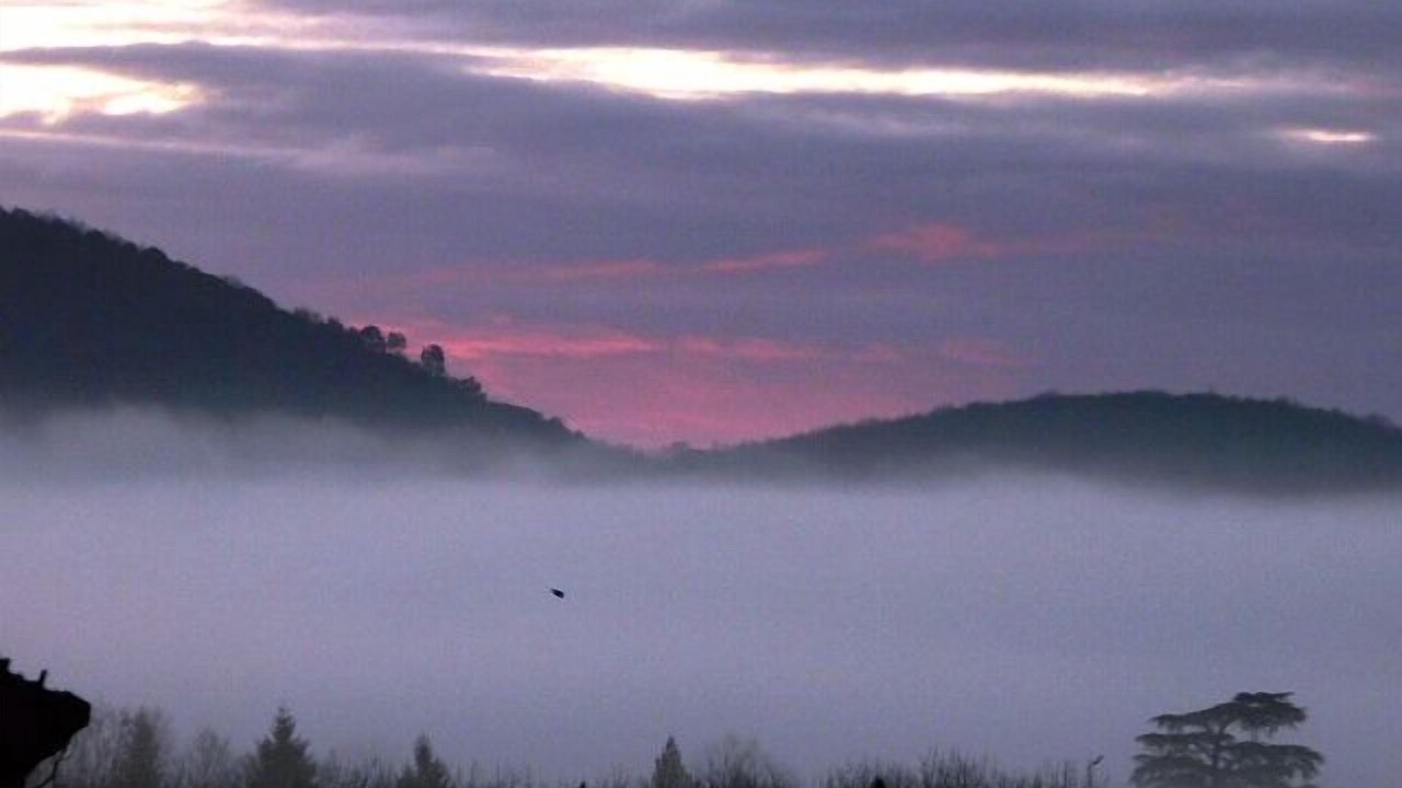 Photo of Others in Calviac-en-Perigord