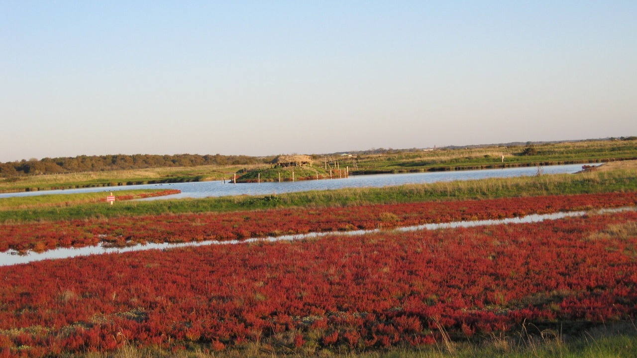 Photo of Outdoor in Saint-Just-Luzac