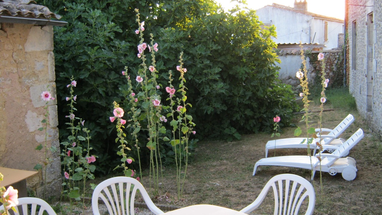 Photo of Outdoor in Saint-Just-Luzac