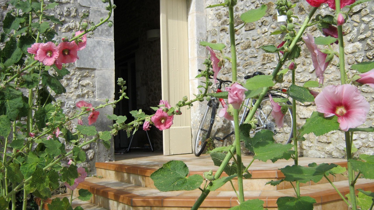 Photo of Outdoor in Saint-Just-Luzac