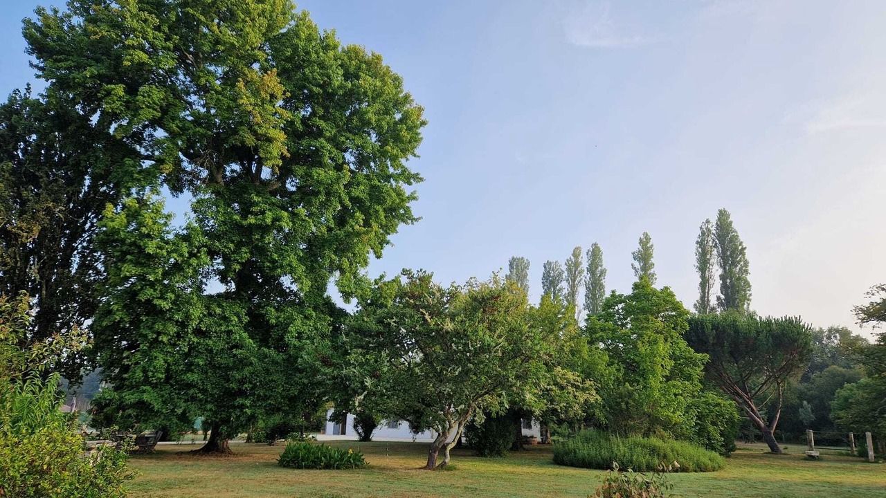 Photo of Outdoor in Prechac