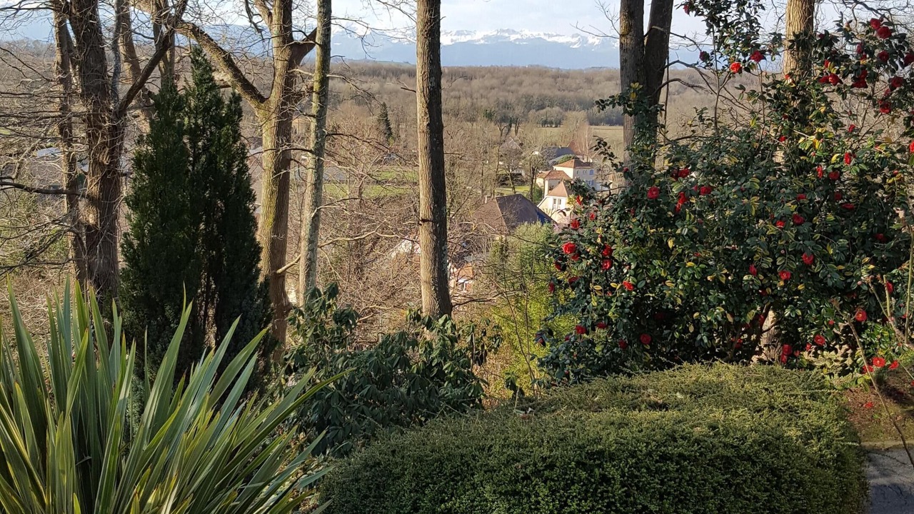 Photo of Outdoor in Lee