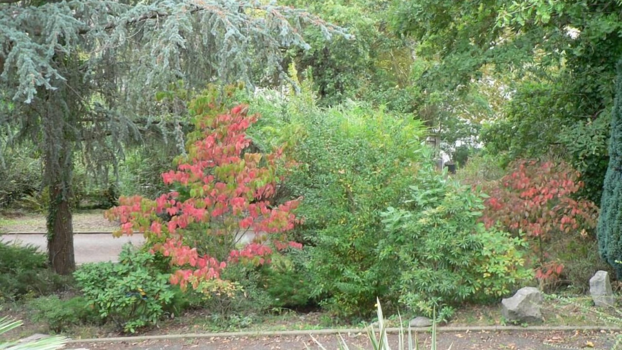 Photo of Outdoor in Lee