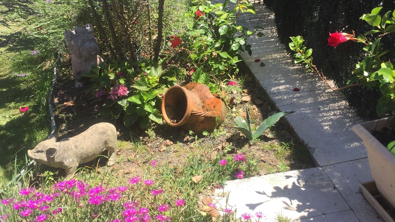 Photo of Outdoor in Soustons