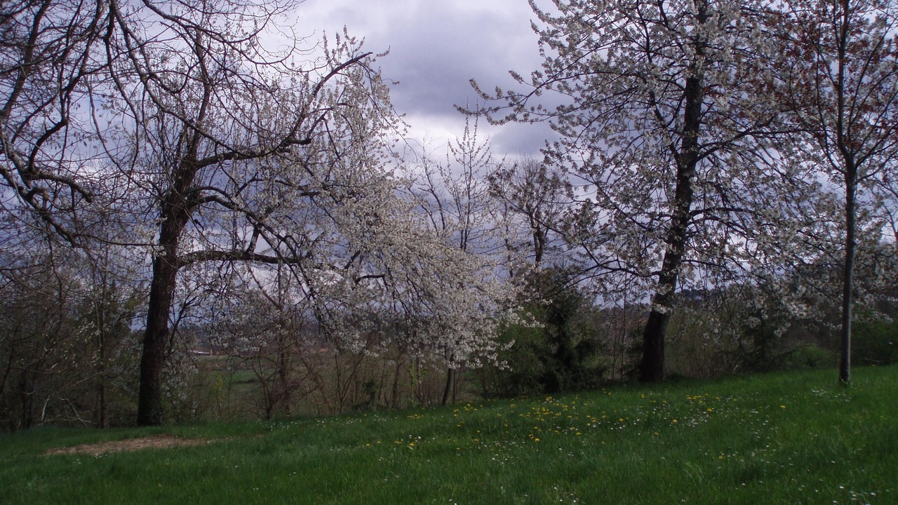 Photo of Outdoor in Bourgnac