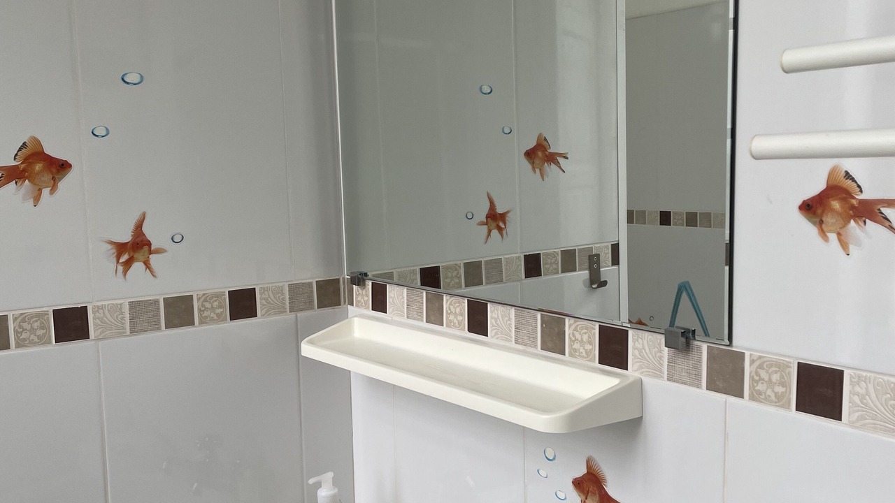 Photo of Bathroom in Charras