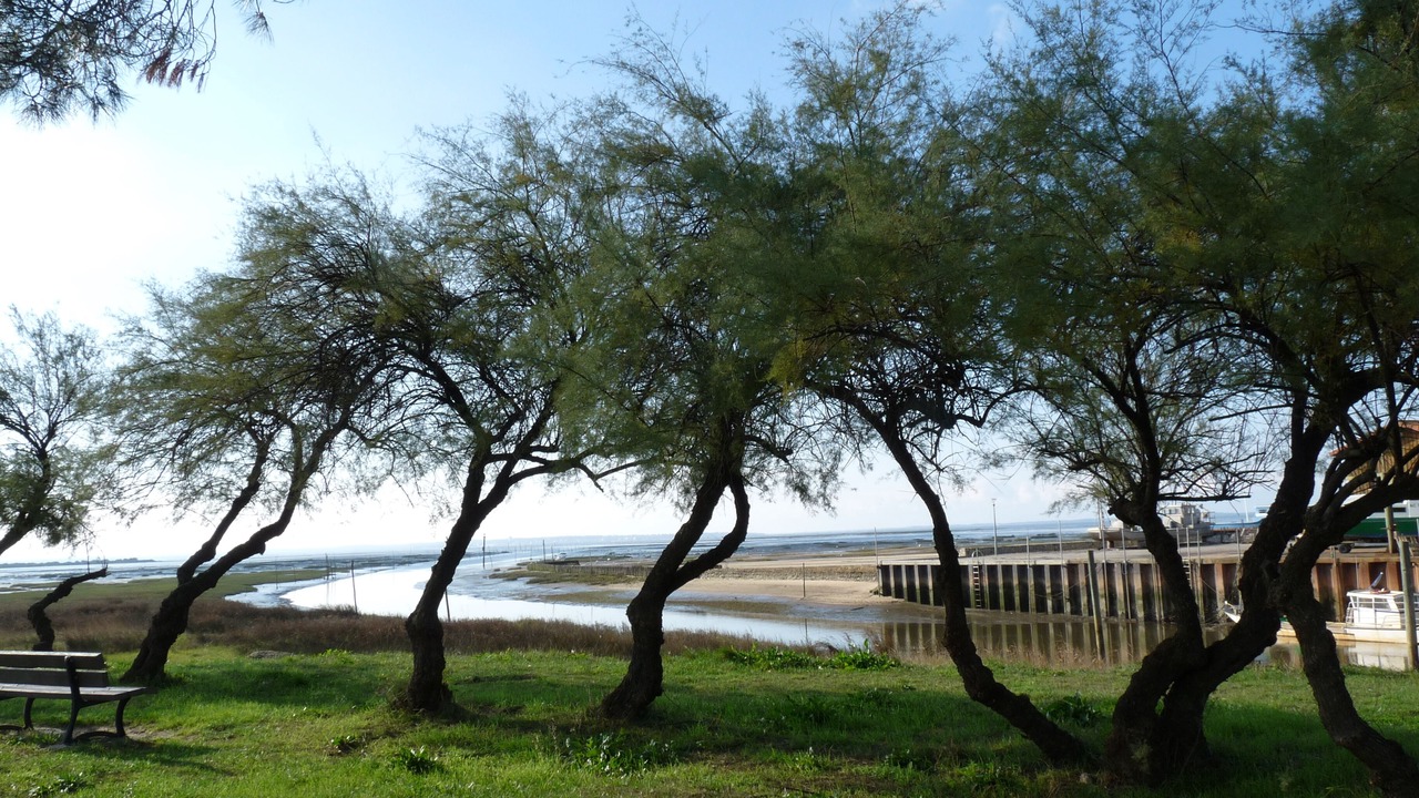Photo of Outdoor in Lanton