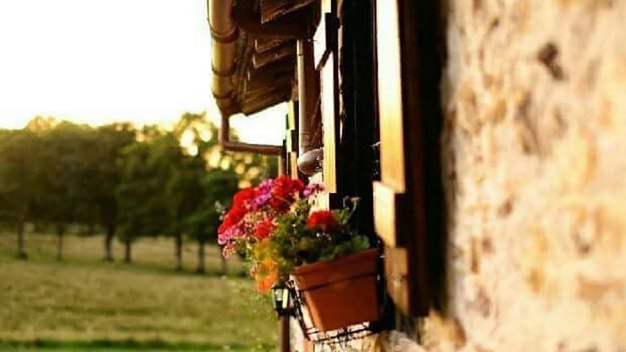 Photo of Outdoor in Bussiere-Poitevine