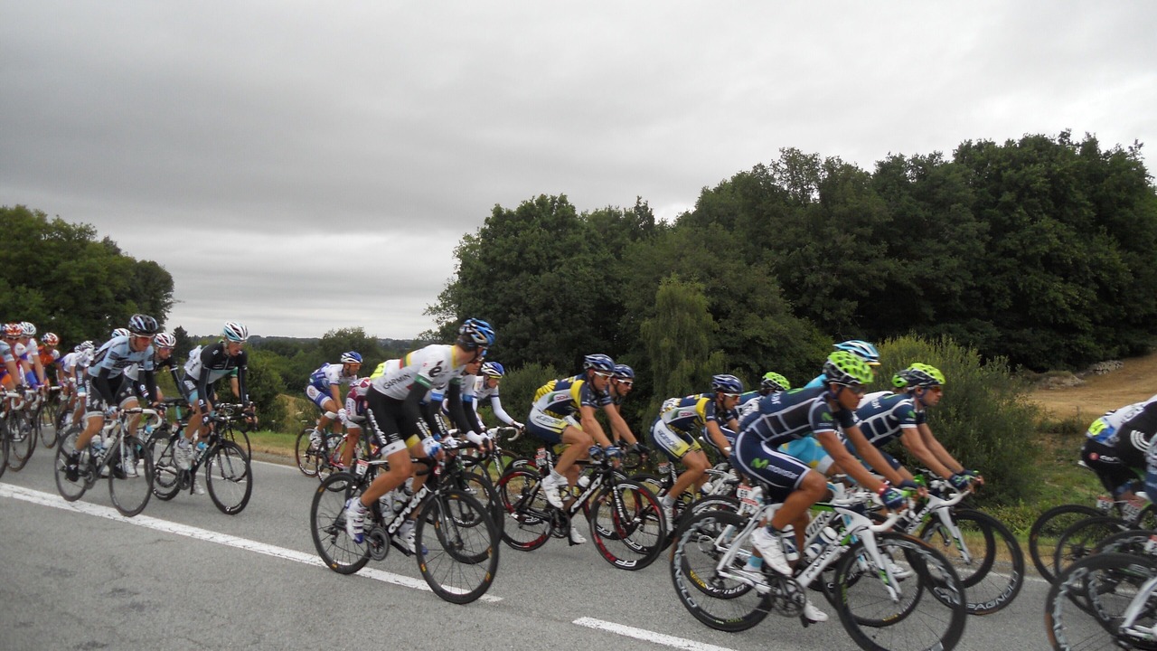 Photo of Others in Bussiere-Poitevine