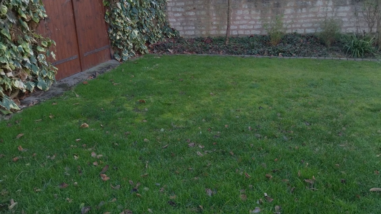 Photo of Outdoor in Senille