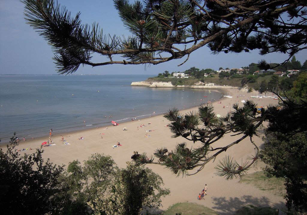 Photo of Others in Meschers-sur-Gironde