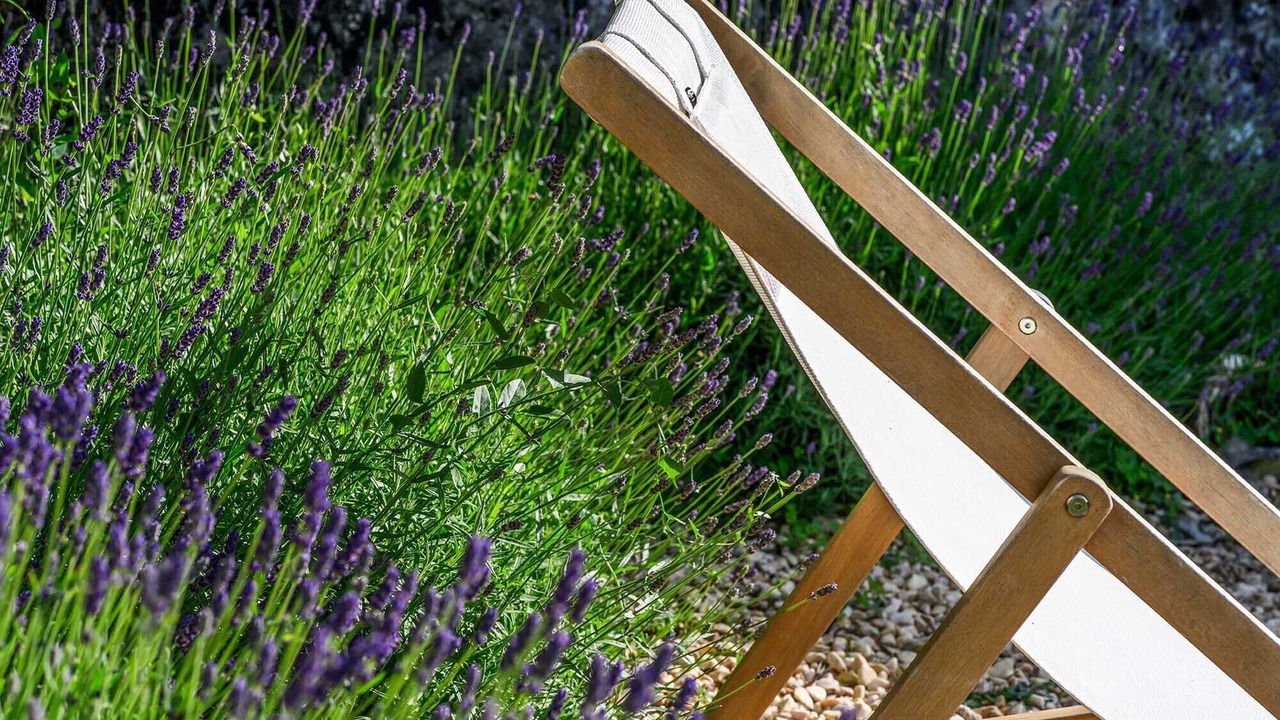 Photo of Outdoor in Castelnaud-la-Chapelle