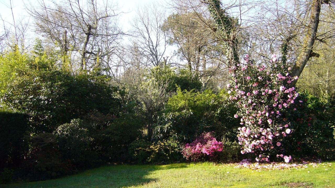 Photo of Outdoor in Cestas