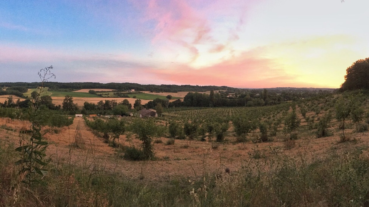 Photo of Outdoor in Eymet