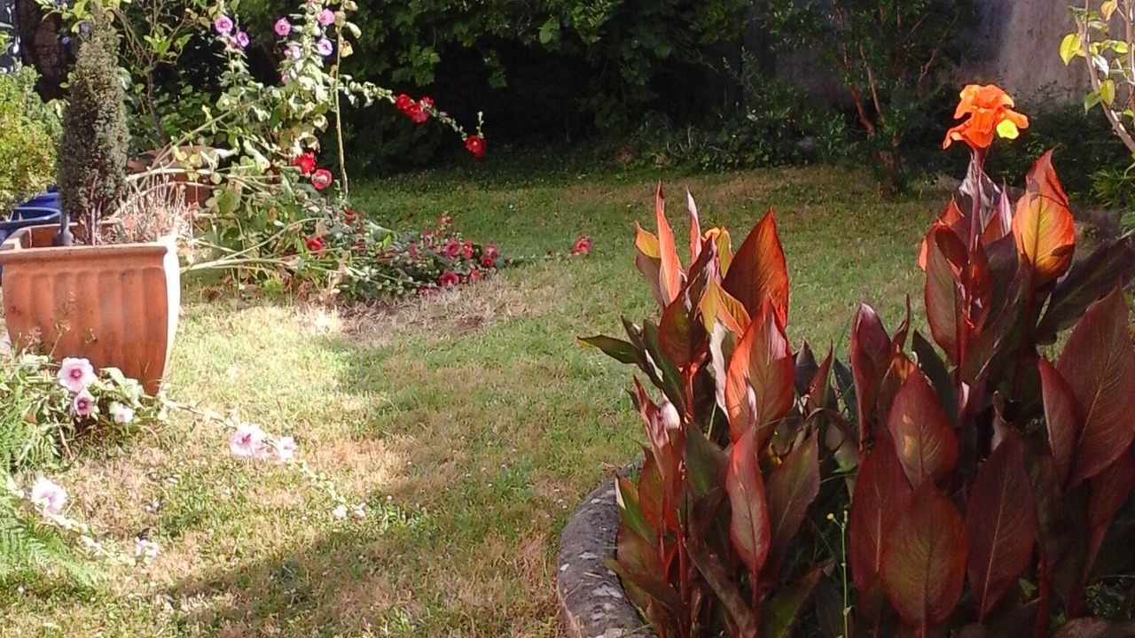 Photo of Outdoor in Jonzac