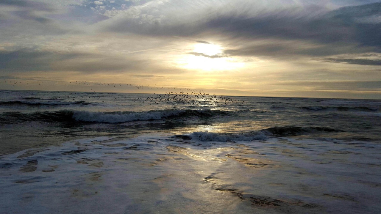 Photo of Others in Saint-Georges-d'Oleron