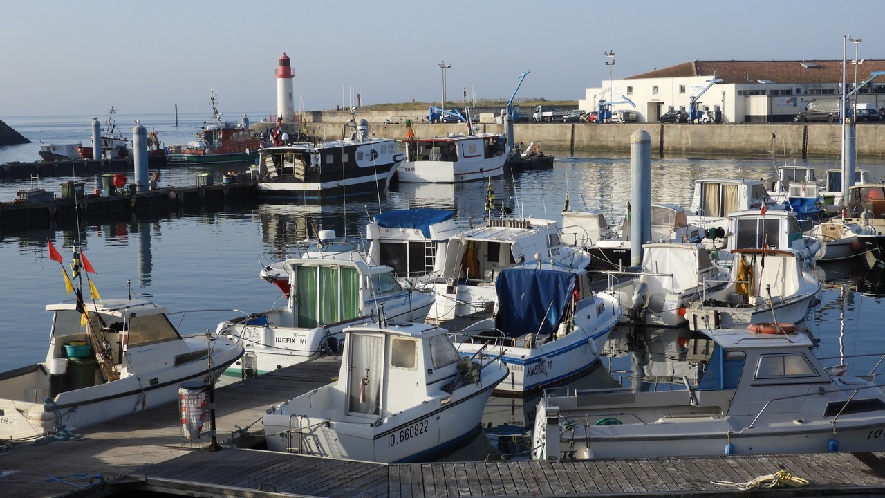Photo of Others in Saint-Georges-d'Oleron