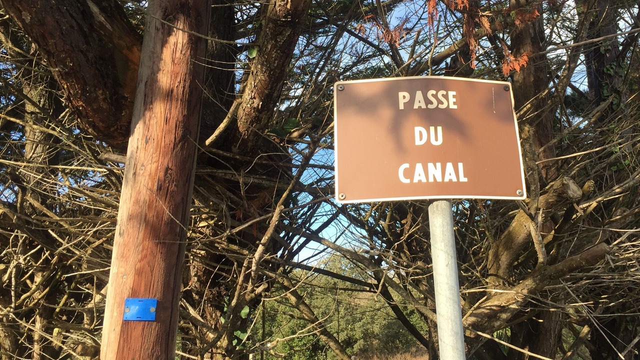 Photo of Outdoor in Saint-Georges-d'Oleron