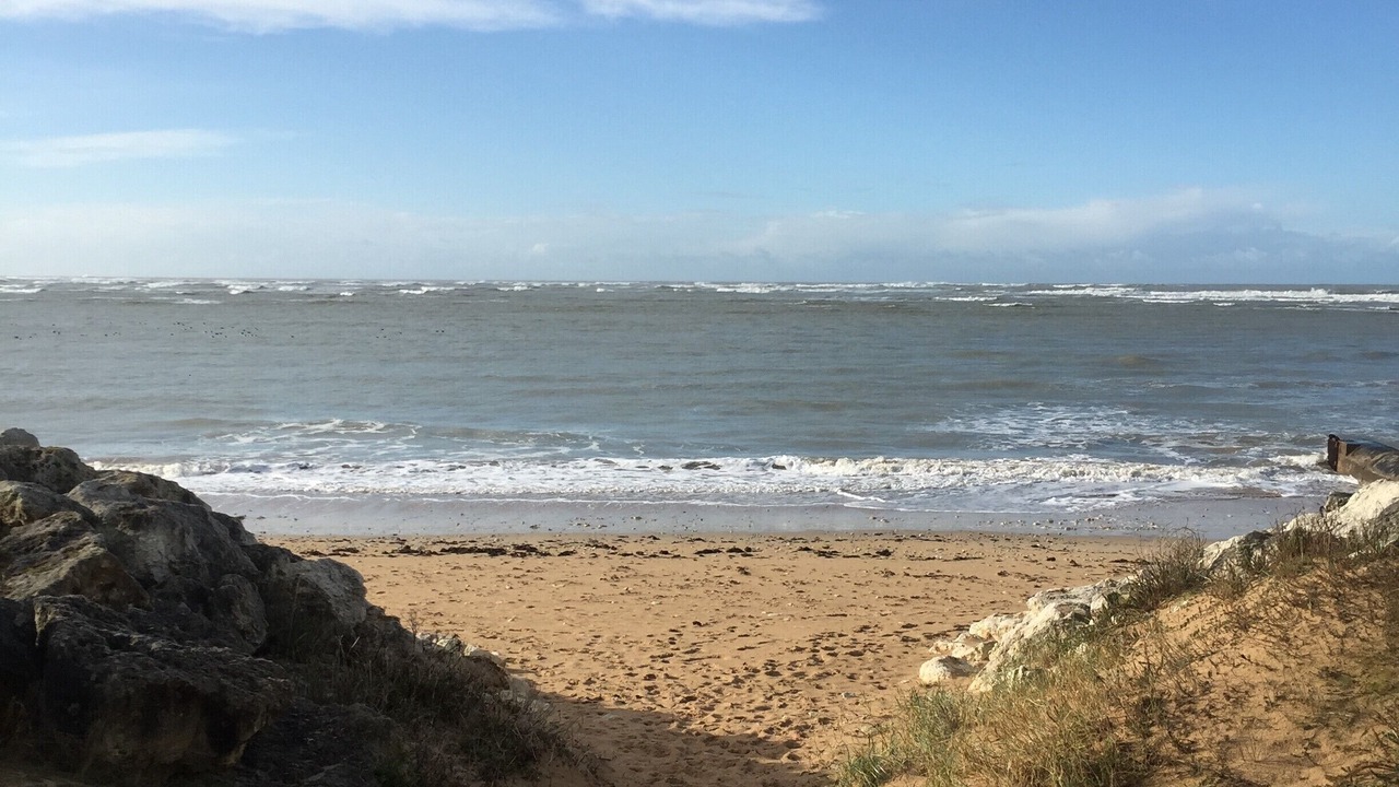 Photo of Others in Saint-Georges-d'Oleron