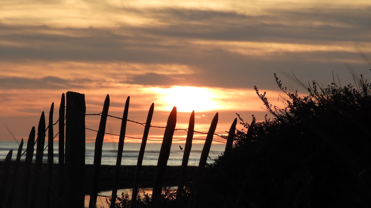 Photo of Others in Saint-Georges-d'Oleron