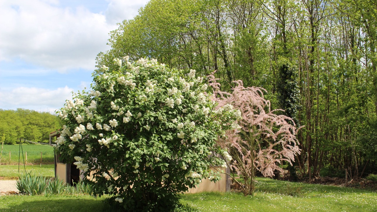 Photo of Outdoor in Nanteuil-en-Vallee
