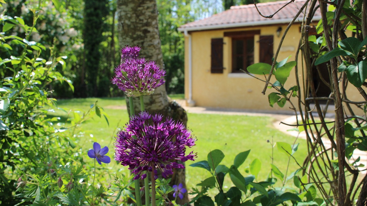 Photo of Outdoor in Nanteuil-en-Vallee