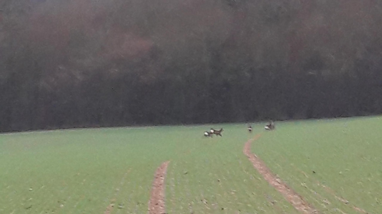 Photo of Others in Echire