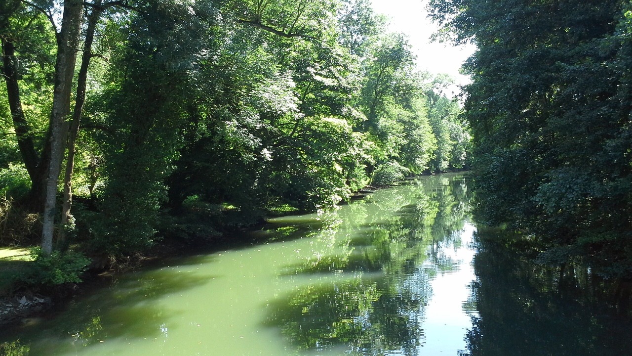 Photo of Others in Echire